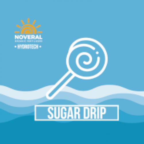 Sugar Drip
